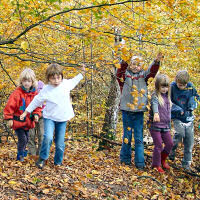 Kinder im Wald