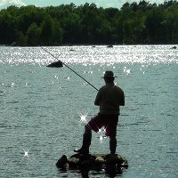 Angler