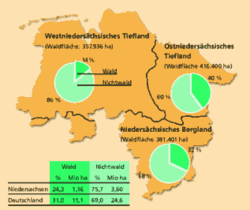 24,3 % der Landesfläche sind Wald