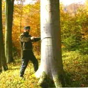 Zuwachsmessung