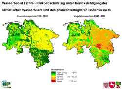 Wasserbedarf und Risikoabschätzung bei der Fichte