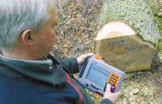 Revierleiter bei der Holzaufnahme