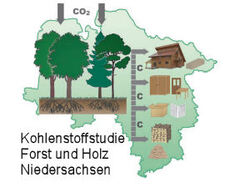 Kohlenstoffstudie Forst und Holz Niedersachsen