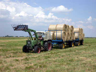 Anhänger mit Breitreifen