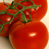 Obst & Gemüse