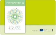 EIP Logo