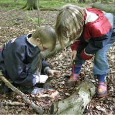 Kinder untersuchen Bodentiere
