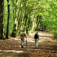 Foto mit Spaziergängern im Wald