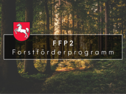 FFP2 Forstförderprogramm_406