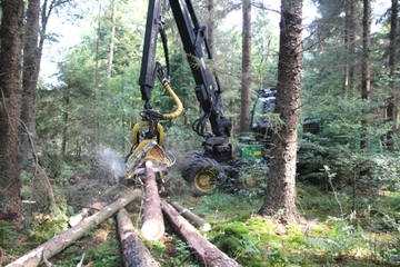 Foto mit Holzerntemaschine im Nadelwald