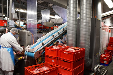 Ein Mitarbeiter in einem fleischverarbeitenden Betrieb steht an einem Fließband, dahinter ist ein Schwebstofffilter.