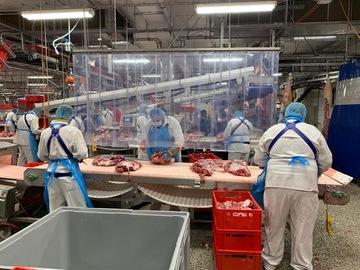 Mitarbeiter in eiinem fleischveraerbeitenden Betrieb stehen versetzt und getrennt durch Abhängungen am Zerlegetisch.