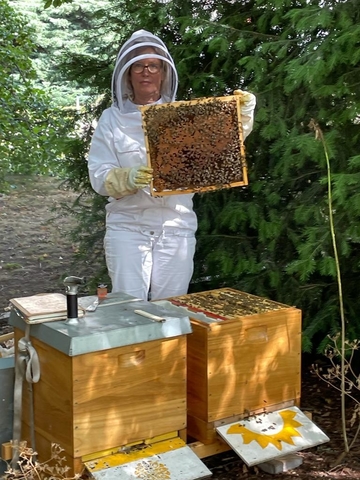 Imkerin steht vor zwei Bienenstöcken