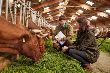 Daniel Wehmeyer und Landwirtschaftsministerin Miriam Staudte im Kuhstall im Gespräch über das Harzer Rote Höhenvieh.