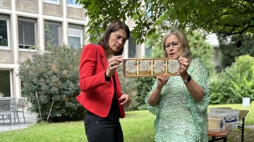 Imkerin Wiebke Langefeld zeigt Ministerin Miriam Staudte Waben.