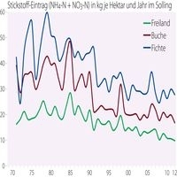Stickstoff-Eintrag in KG je Hektar und Jahr im