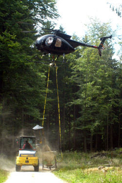 Waldkalkung mit Hubschrauber