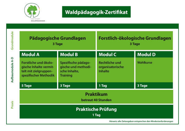 Aufbau der Fortbildung "Waldpädagogik-Zertifikat"