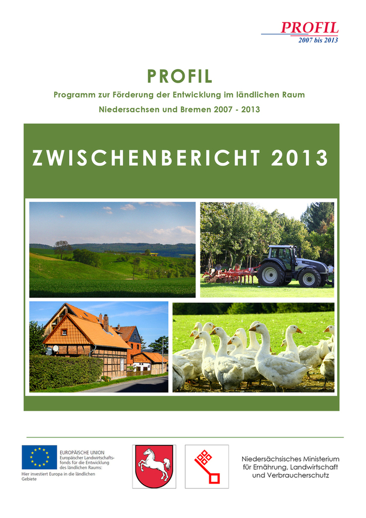 Deckblatt zum PROFIL Jahresbericht 2013