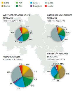 Diagramm der Baumartenverteilung in Niedersachsen