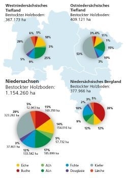 Diagramm der Baumartenverteilung in Niedersachsen