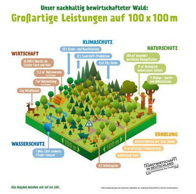 Grafik mit Leistungen des Wirtschaftswaldes in Deutschland