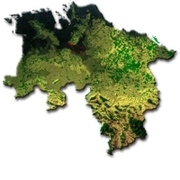 Wald, Holz und Jagd in Niedersachsen | Nds. Ministerium für Ernährung