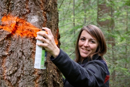 Junge Försterin bei der Arbeit im Wald