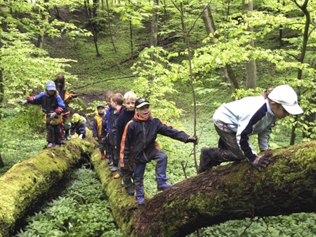 Kindern im Wald klettern auf einem Baumstamm