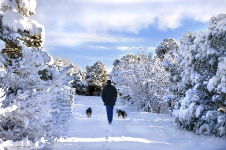 Spaziergänger mit zwei Hunden im Schnee
