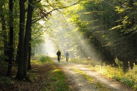 Zwei Radfahrer im Herbstwald