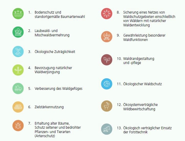 13 LÖWE+ -Grundsätze mit Symbolbildern