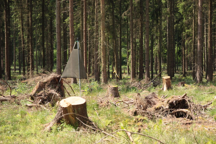 Waldschutz mit Trinet