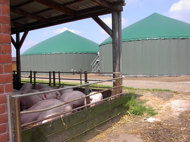 Güllelagerung Biogas