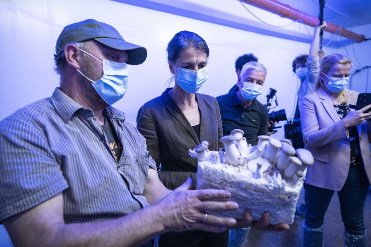 Ministerin Staudte lässt sich die Pilzproduktion im ehemaligen Schweinestall zeigen