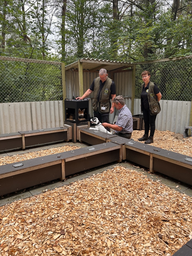 Jagdhunde-Ausbildung mit dem Simfox in Dänemark