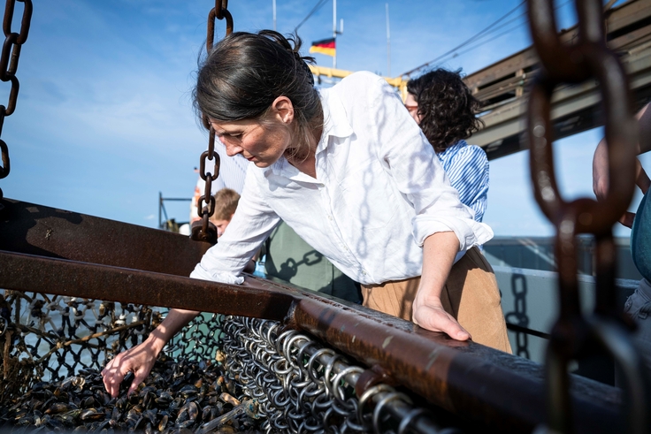 Ministerin Staudte begutachtet Miesmuscheln auf dem Kutter.