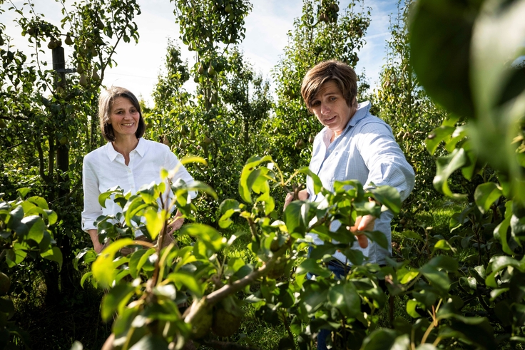 Ministerin Miriam Staudte auf einer Apfelplantage