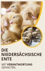 Deckblatt Entenflyer