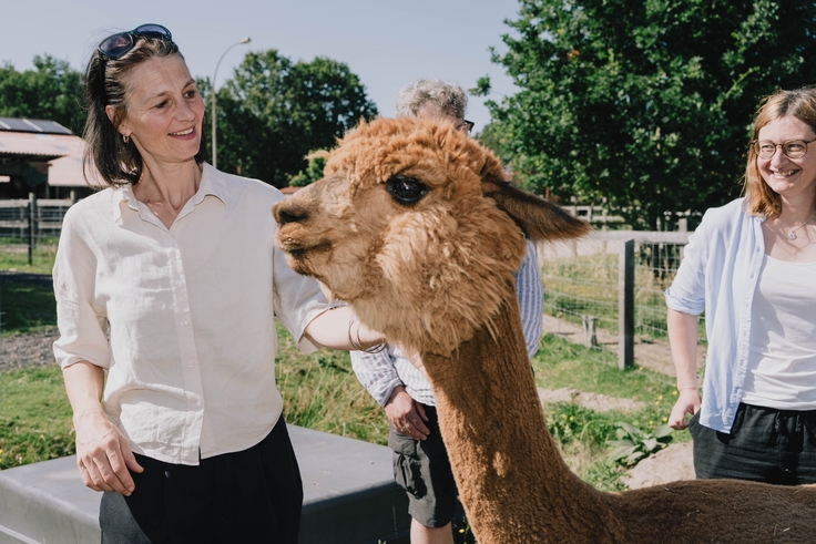 Ministerin Miriam Staudte mit einem Alpaka