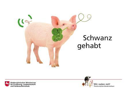 Tierschutzplan - Schwanz gehabt