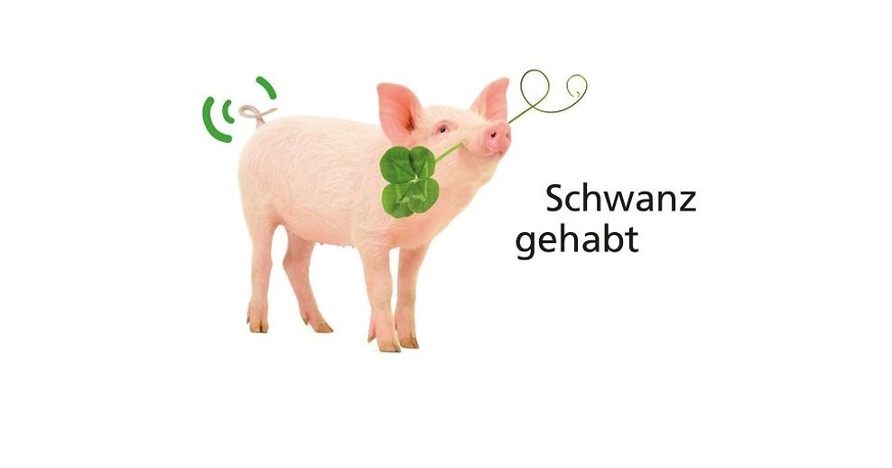 Tierschutzplan Niedersachsen