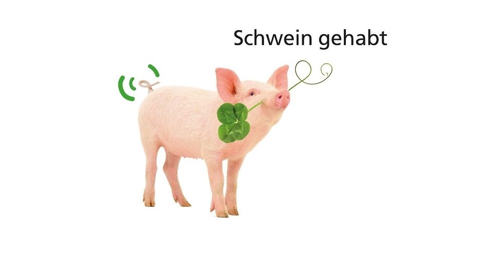 Tierschutzplan Niedersachsen