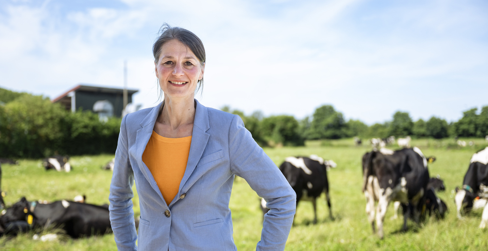 Mehr Tierschutz in der Nutztierhaltung: Anbindehaltung für Rinder soll untersagt werden