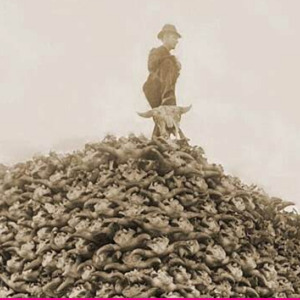 ein Mensch auf einem Berg aus Rinderschädeln