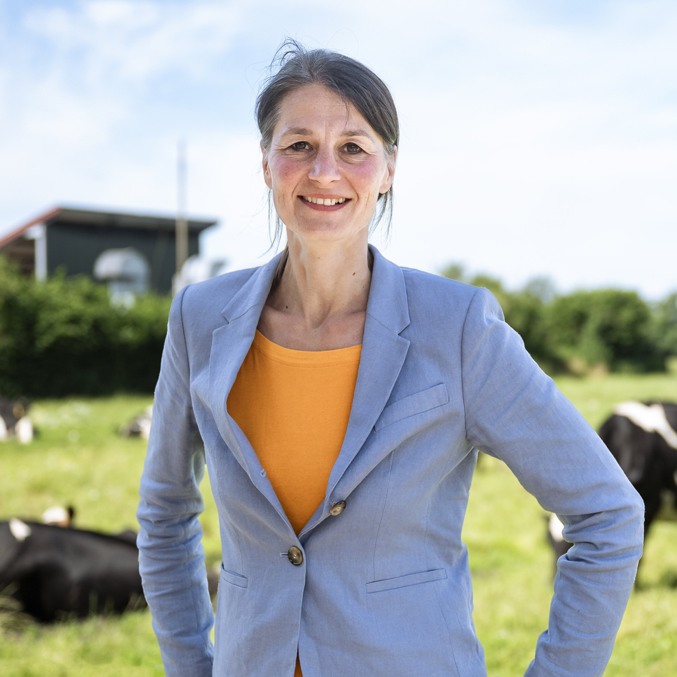 Mehr Tierschutz in der Nutztierhaltung: Anbindehaltung für Rinder soll untersagt werden