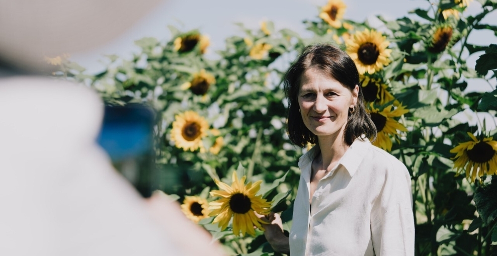 Sommerreise, Slider, Sonnenblumen