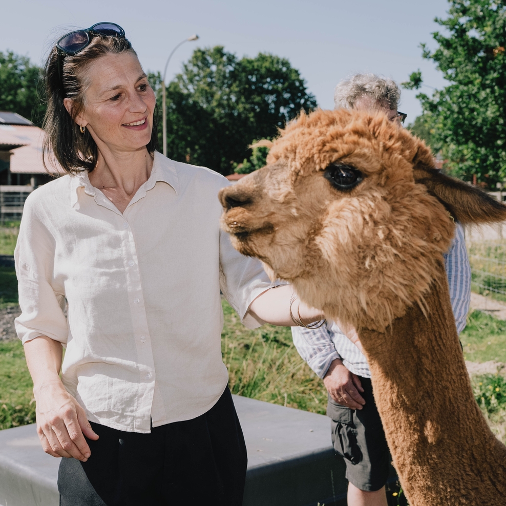 Ministerin Miriam Staudte mit einem Alpaka