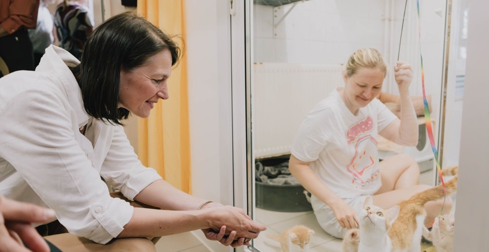 Ministerin Staudte knieend und schaut durch eine Glasscheibe auf Katzen