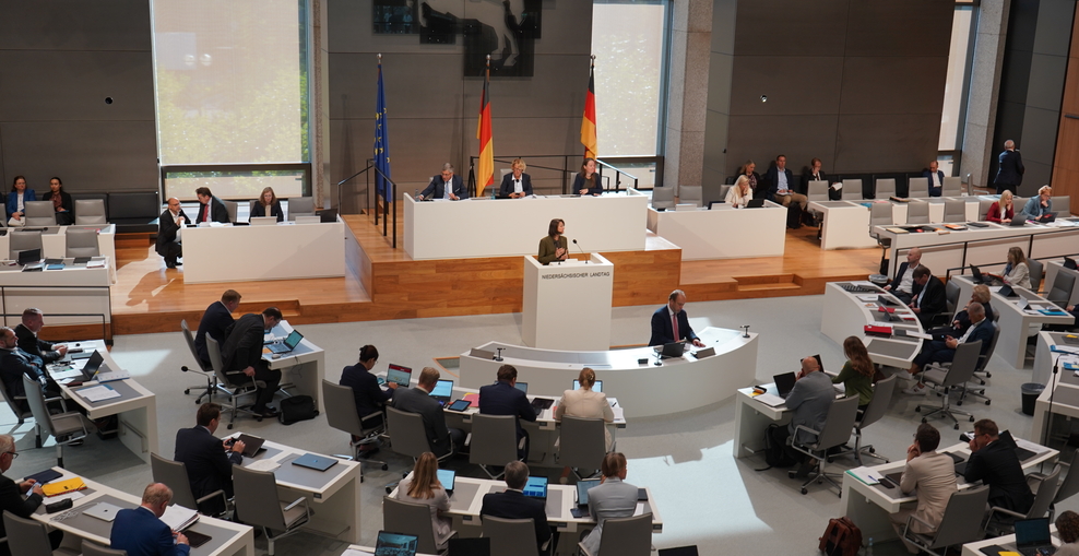 Frau steht am Rednerpult des Niedersächsischen Landtages. Um sie herum sitzen Menschen.